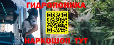 гашик Дубна