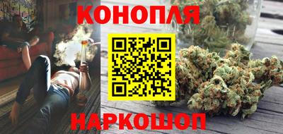 гашик Дубна