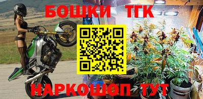 гашик Дубна